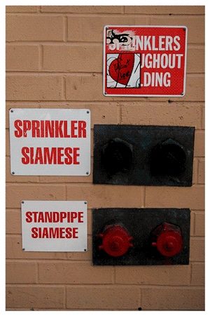 Finding Love (Heartbeat)